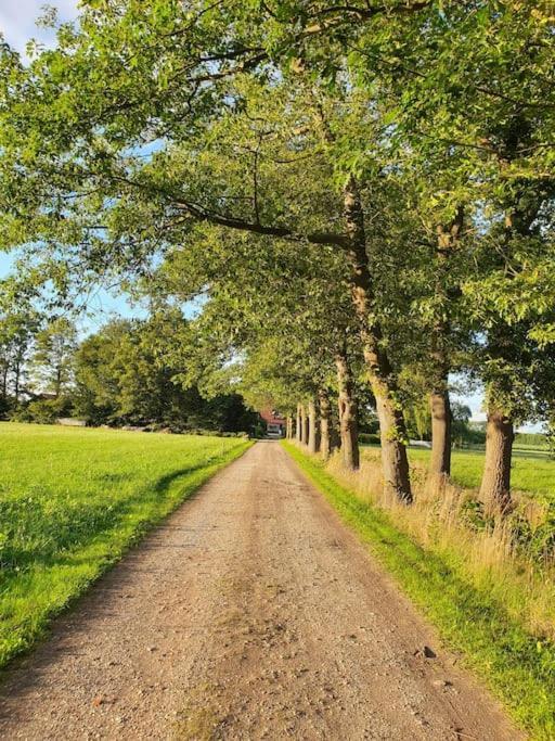 Leuk Boerderijtje Op Prachtige Plek, Nabij Natuurgebied 룰로 외부 사진