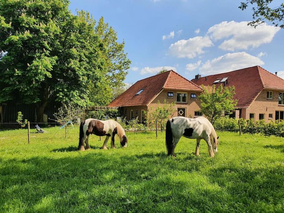 Leuk Boerderijtje Op Prachtige Plek, Nabij Natuurgebied 룰로 외부 사진