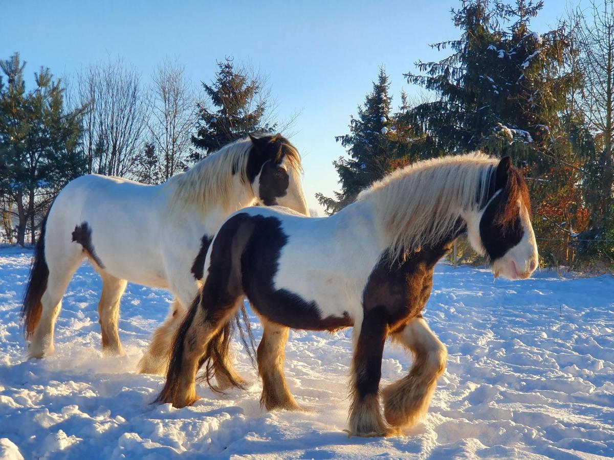 Leuk Boerderijtje Op Prachtige Plek, Nabij Natuurgebied 룰로 외부 사진