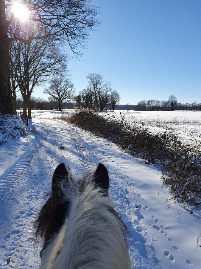 Leuk Boerderijtje Op Prachtige Plek, Nabij Natuurgebied 룰로 외부 사진