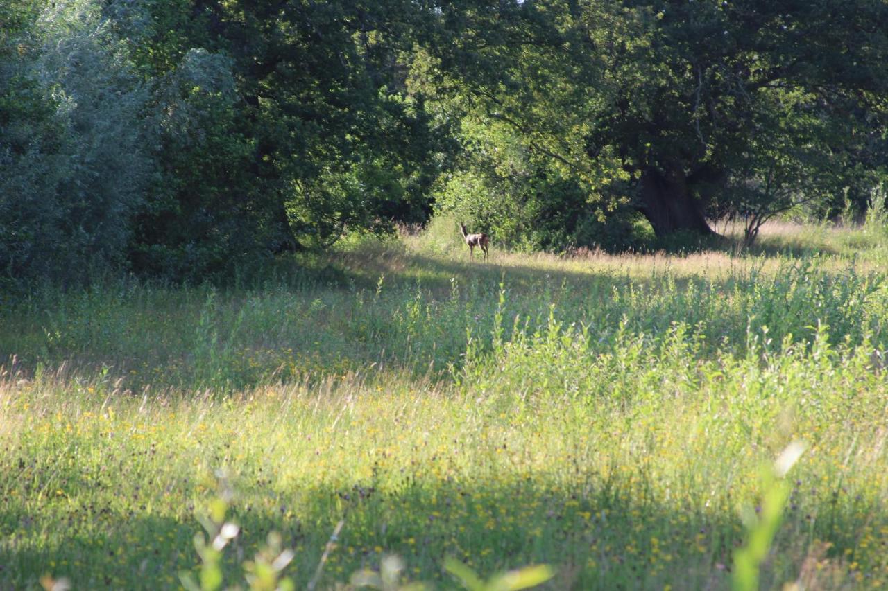 Leuk Boerderijtje Op Prachtige Plek, Nabij Natuurgebied 룰로 외부 사진
