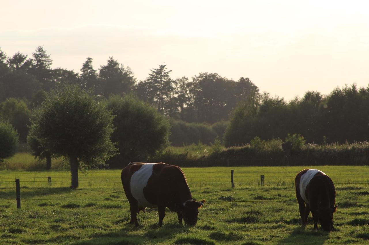 Leuk Boerderijtje Op Prachtige Plek, Nabij Natuurgebied 룰로 외부 사진